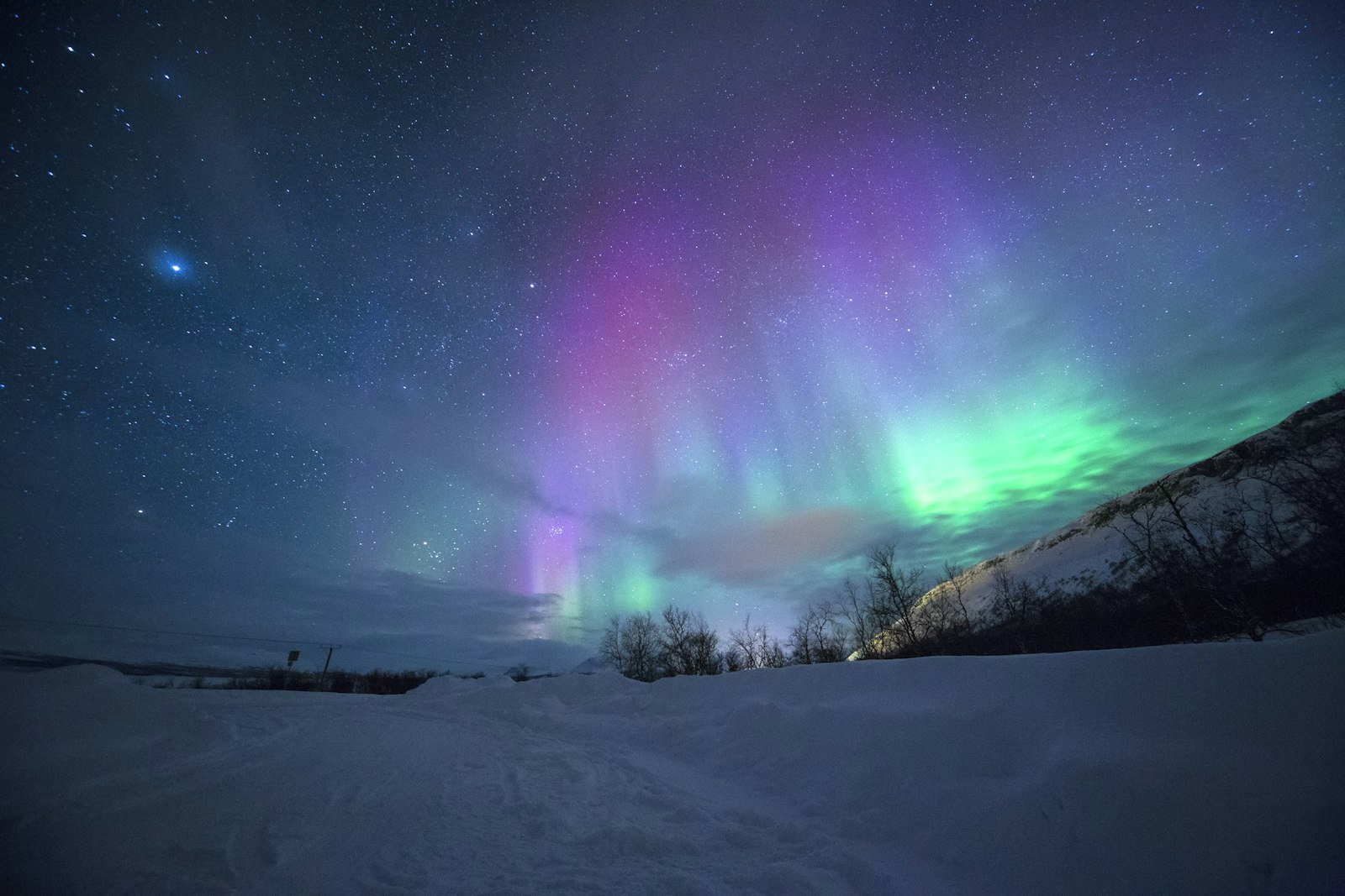 Aurora