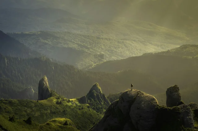 Green Valley